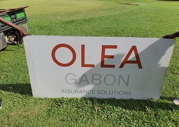 Olea Gabon