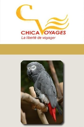 Chica Voyages