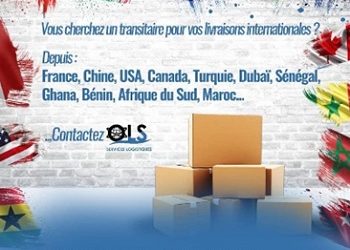 Ozavino Logistics Services